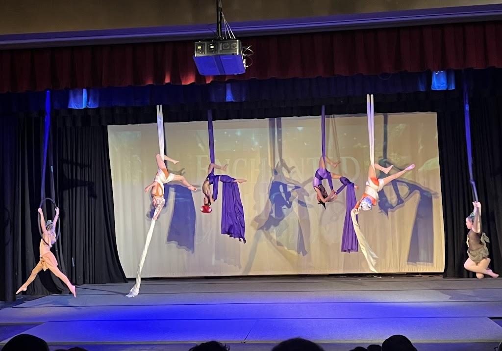  Aspire Aerial Dance & Movement
