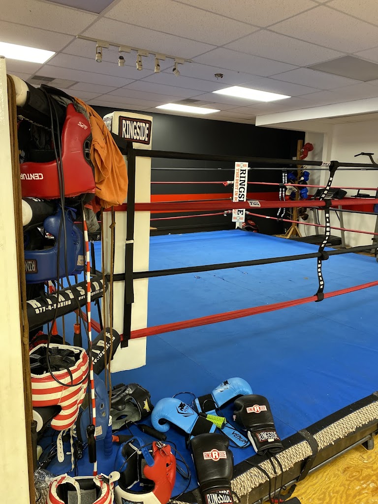  Checkmates Boxing and MMA Striking Skills