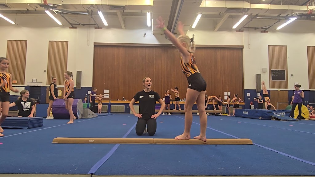  Wilson School of Gymnastics and Dance