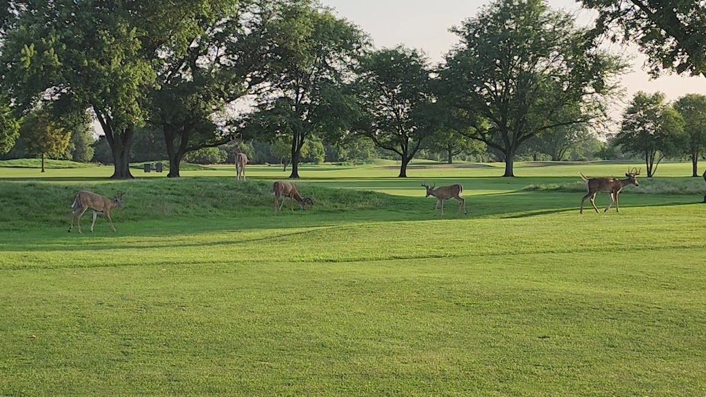  Joe Louis "The Champ" Golf Course