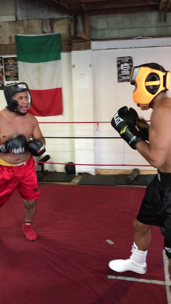  Next Level Boxing Gym