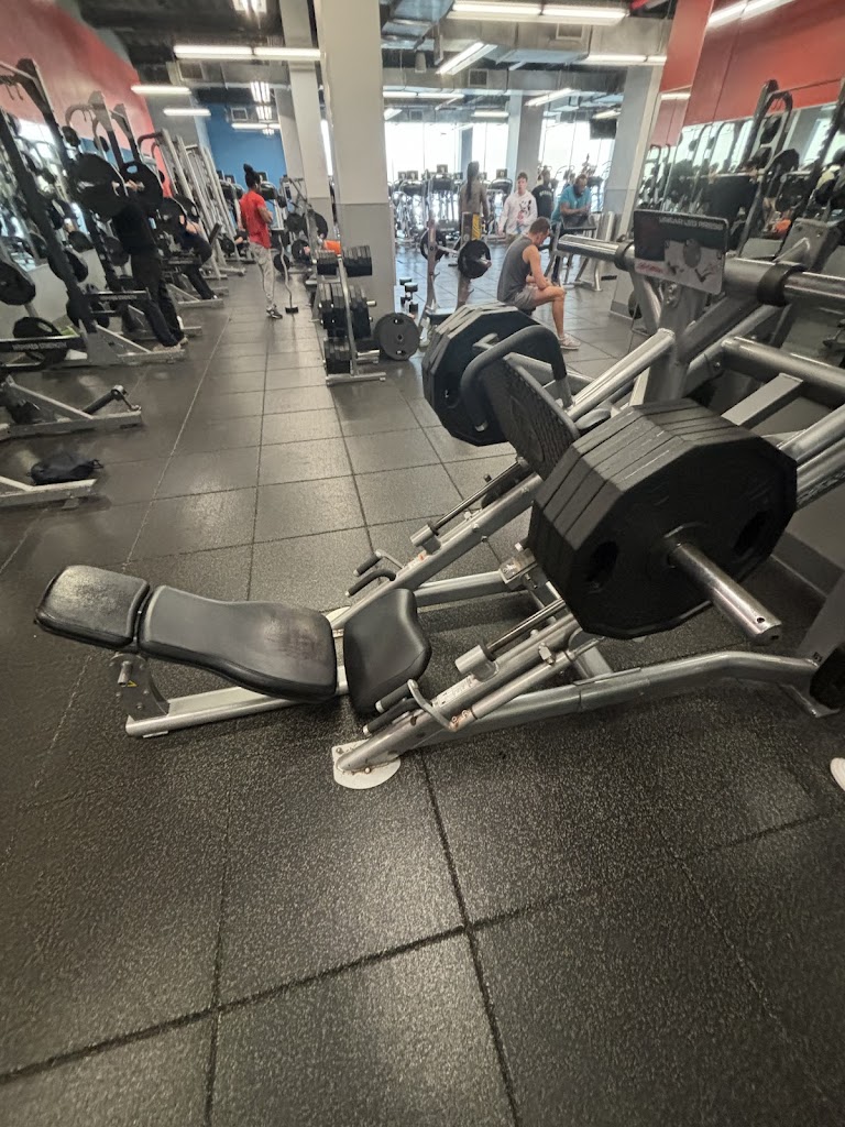  Blink Fitness (PureGym)