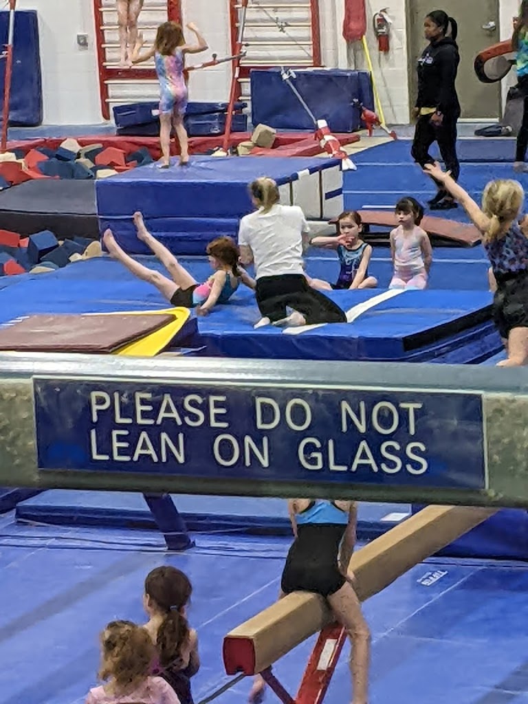  GYMNASTICS OF OHIO