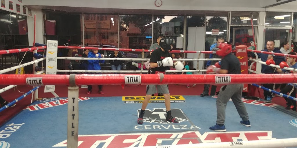  Casillas Boxing Gym