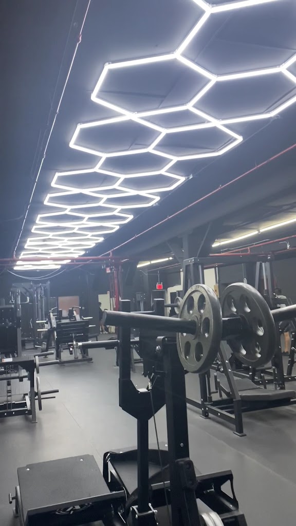  Iron Punisher Gym