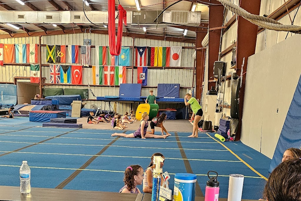  Elite World Gymnastics