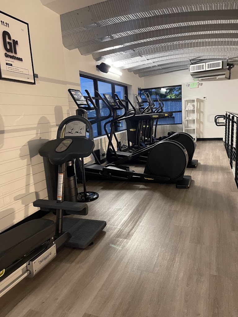  ELEMENT LUXURY FITNESS