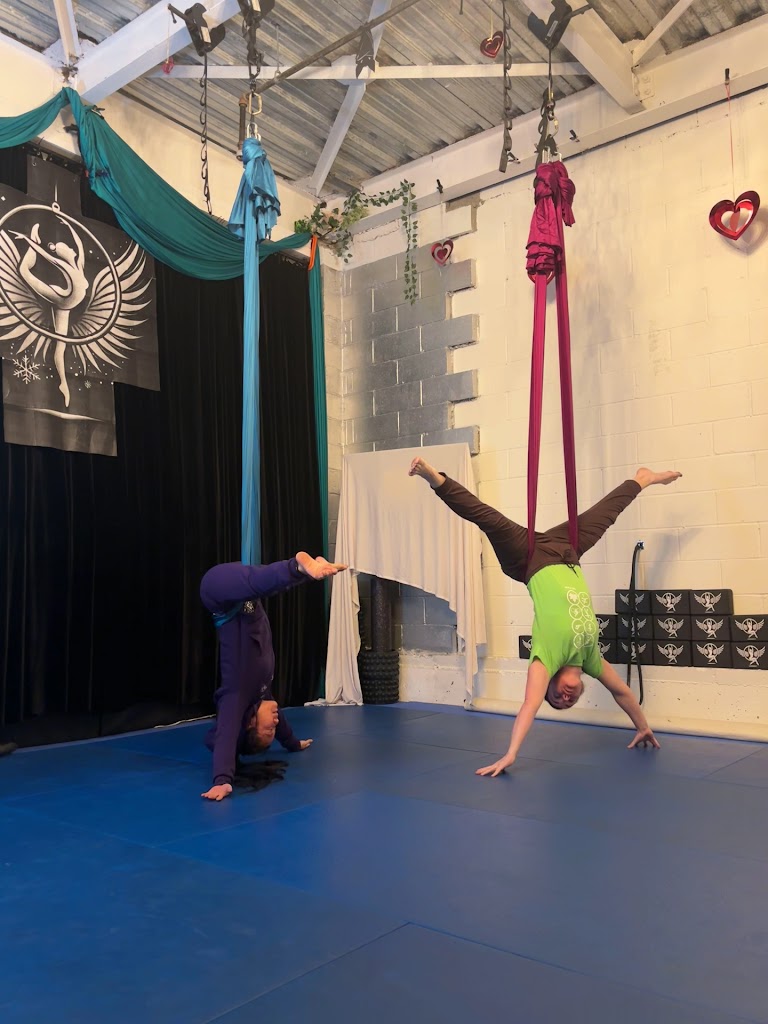  Tiger Mom Aerial Hoop Studio