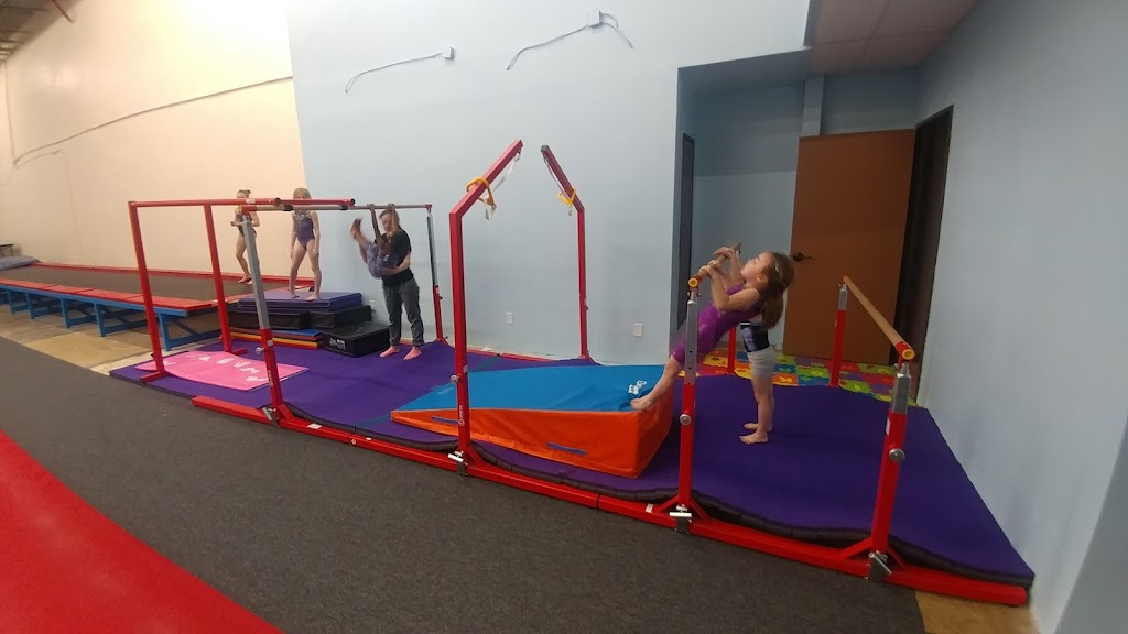  AGK - Academy of Gymnastics Kekkonen