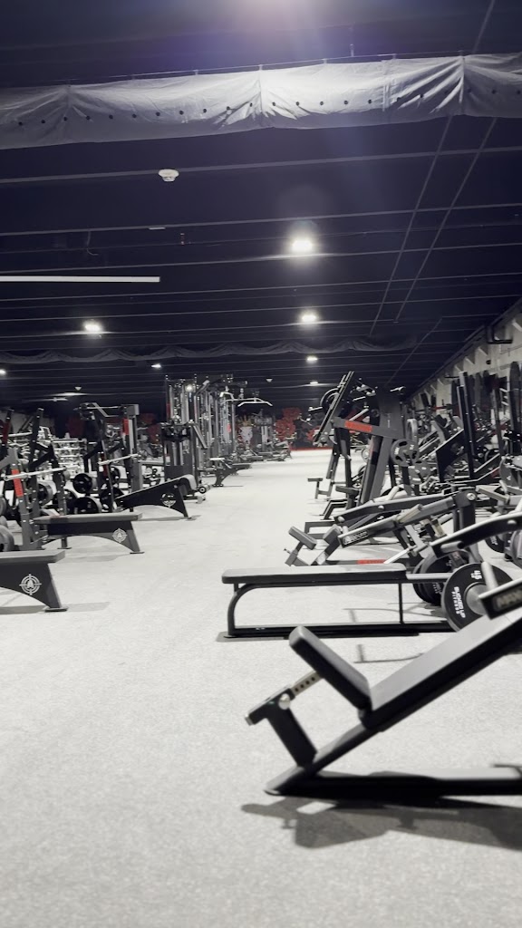  Bucked Up Fitness Queen City