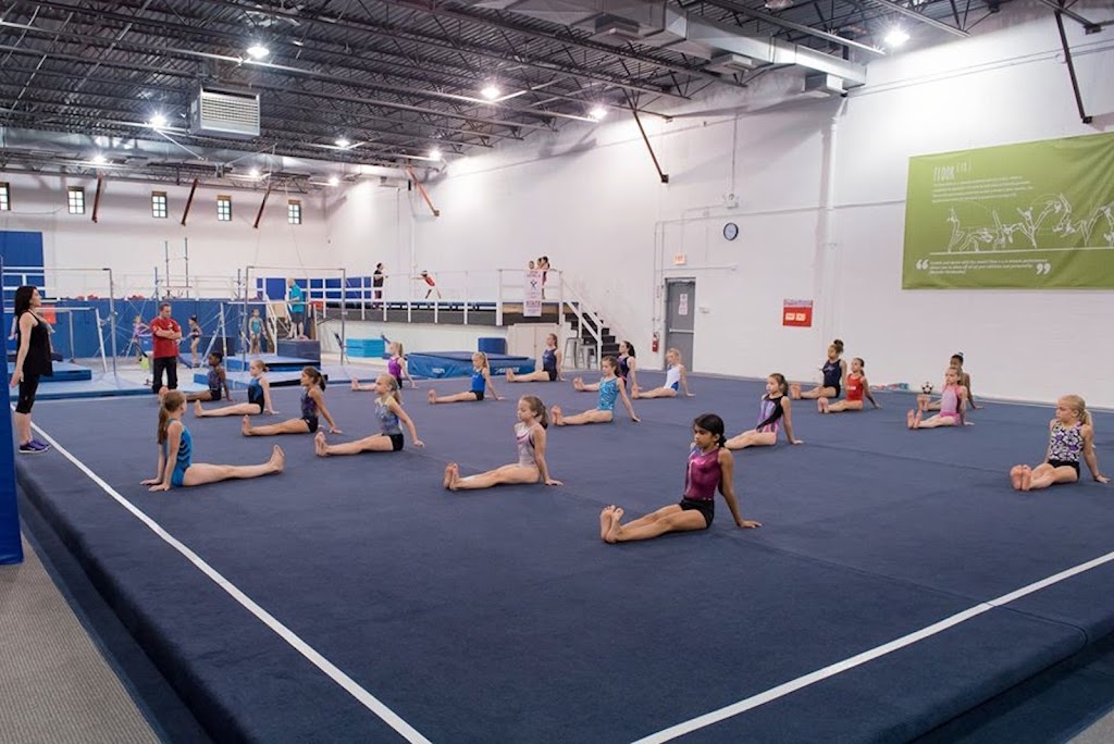  C.I.T.Y. Club Gymnastics Academy