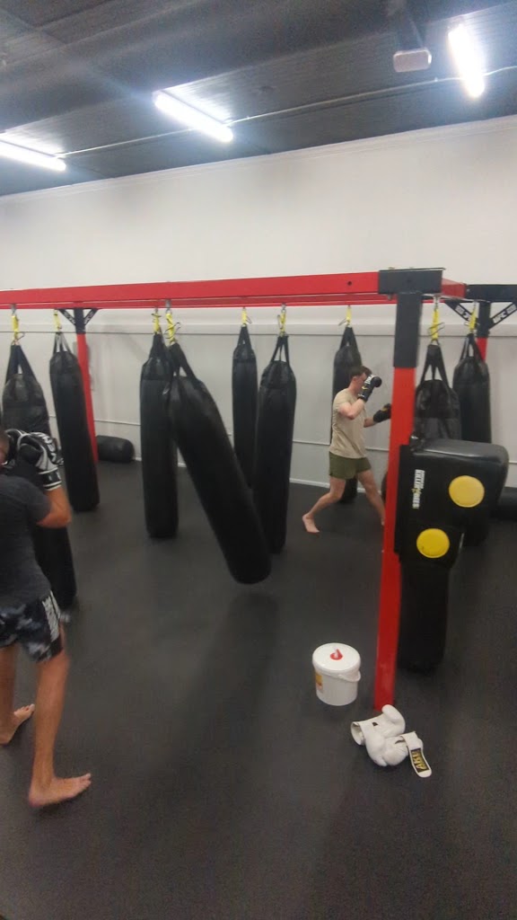  American Killer Bees Fitness