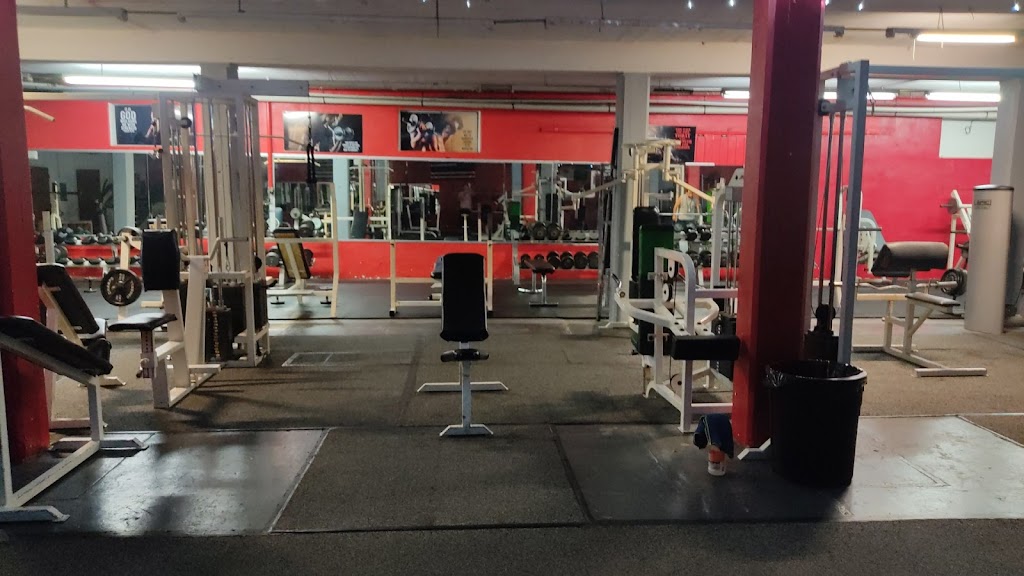  Spartans fitness Gym