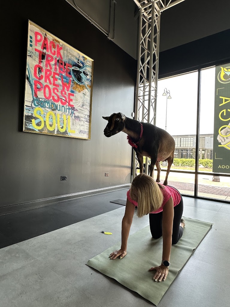  Goat Yoga Chicago - South Barrington, Illinois