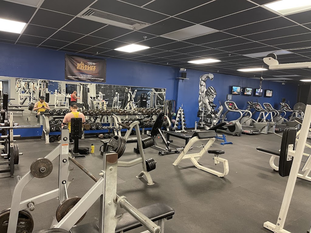  The Gym - Mt. Pleasant