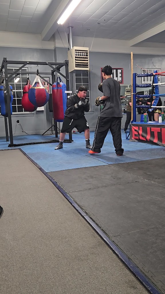  Elite Boxing Muaythai