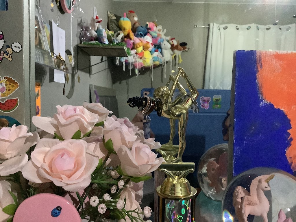  Roanoke Academy of Gymnastics