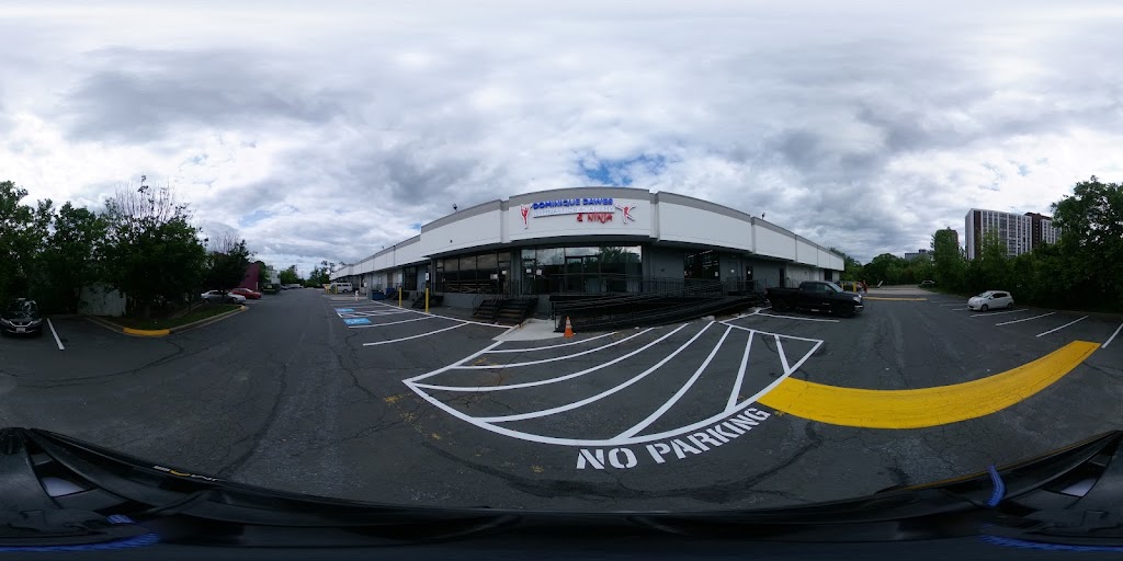  Dominique Dawes Academy