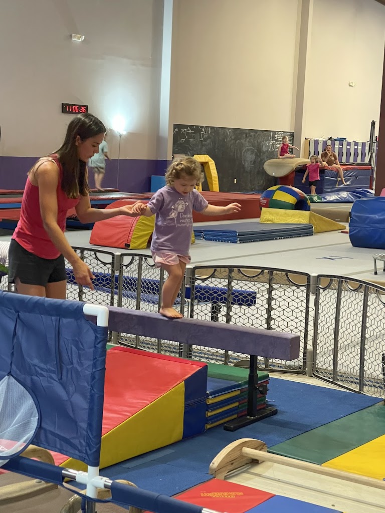  Elevation Gymnastics