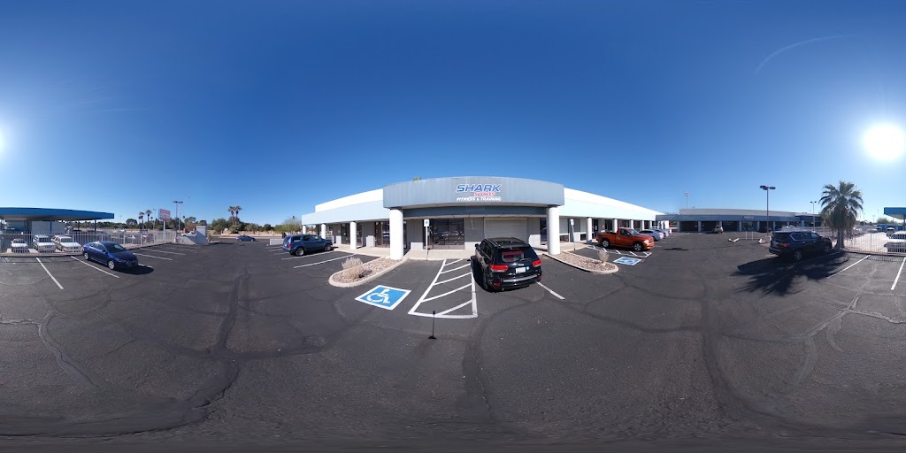  Shark Sports Fitness & Training