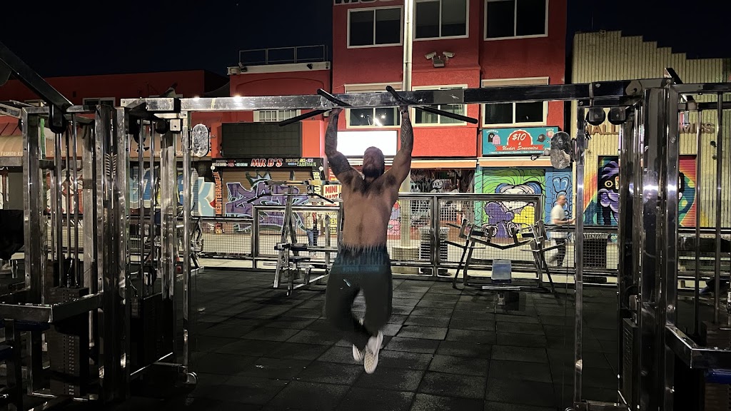 Muscle Beach Venice Outdoor Gym