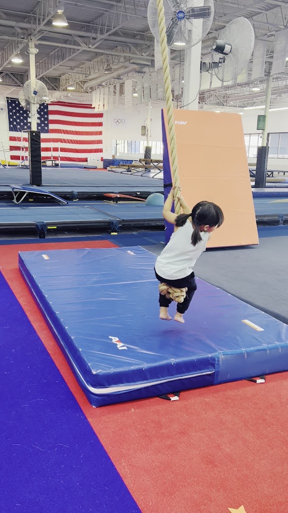  Impact Gymnastics