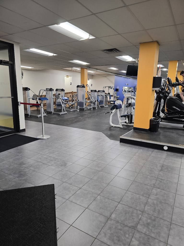  Elite Fitness Club