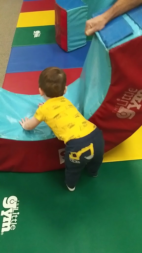  The Little Gym of Germantown