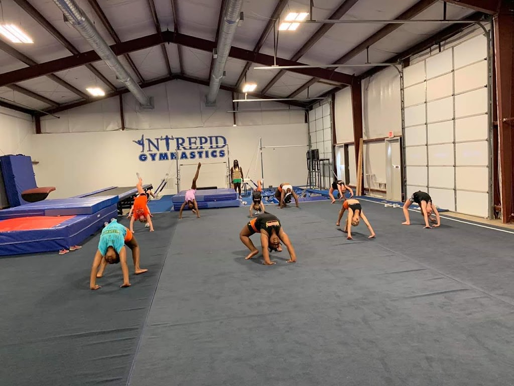  Intrepid Gymnastics