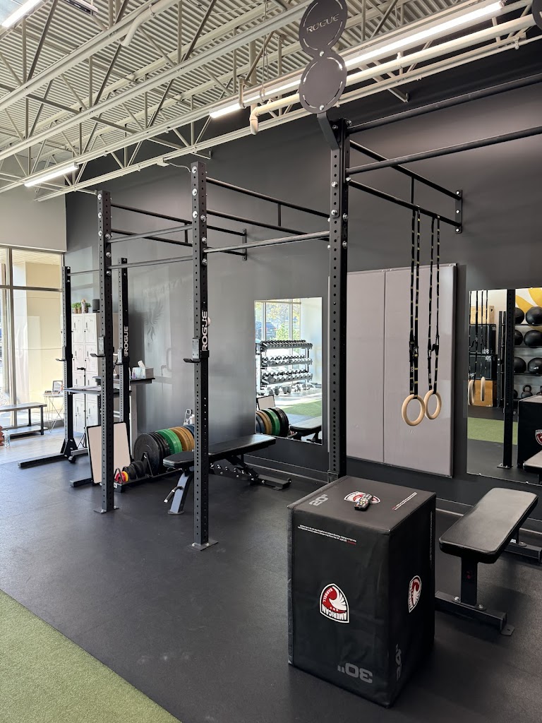  Phoenix Training & Nutrition