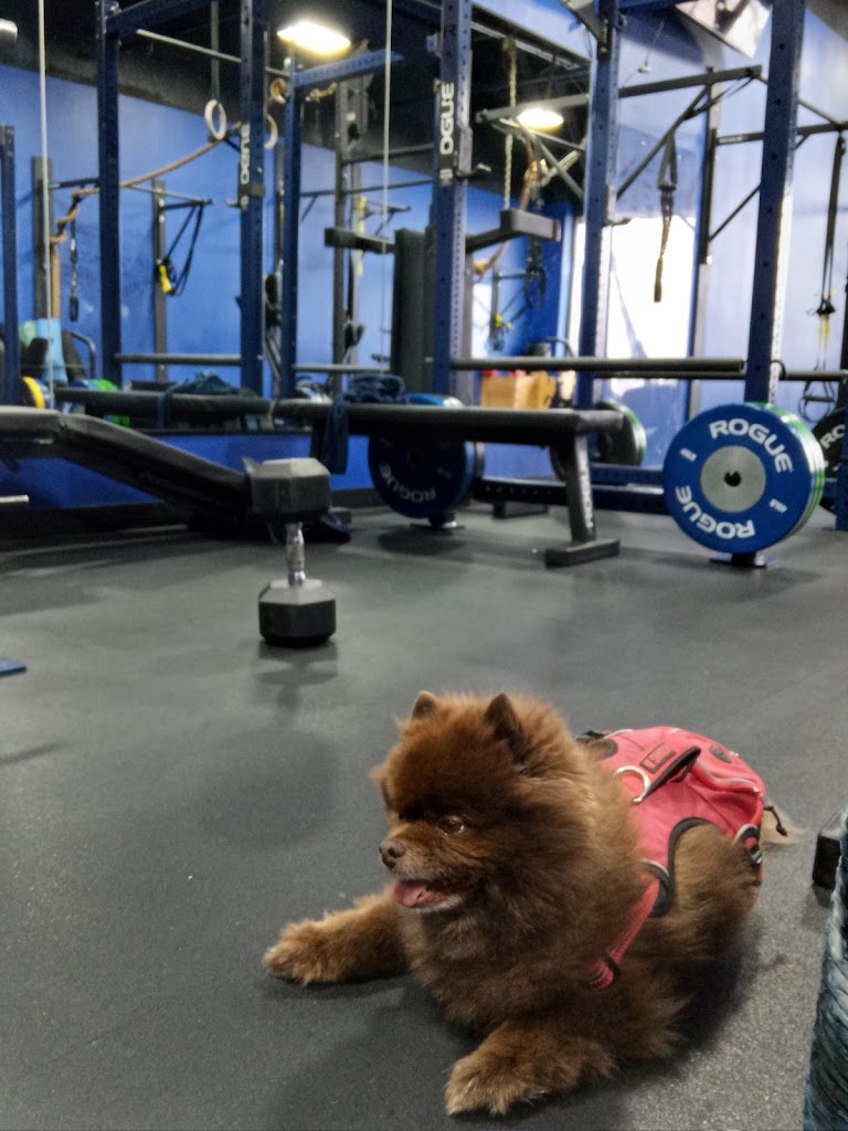  Best At Training Studio