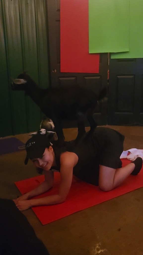  Shenanigoats Community Services LLC