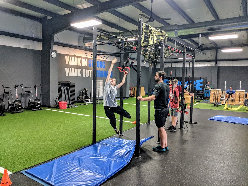  Force Fitness and Performance