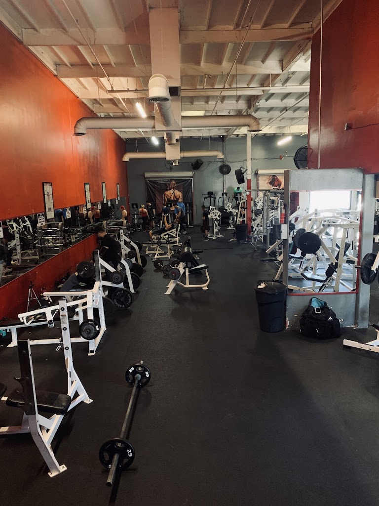  Iron Annihilation Gym