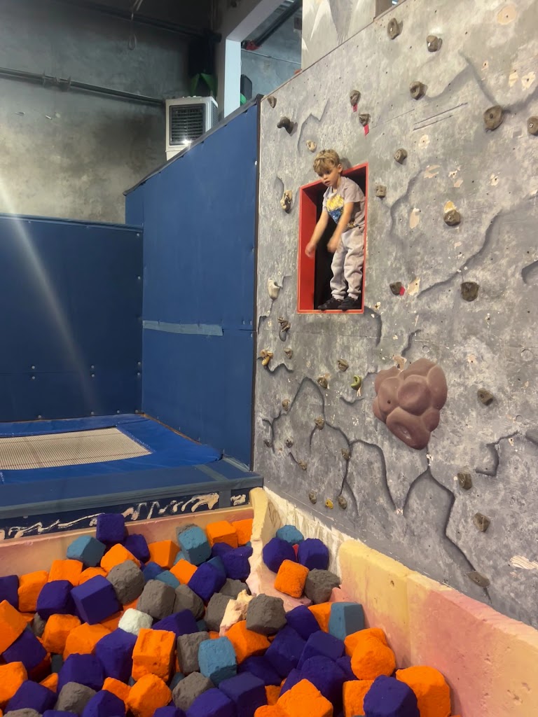  The Jungle Movement Academy