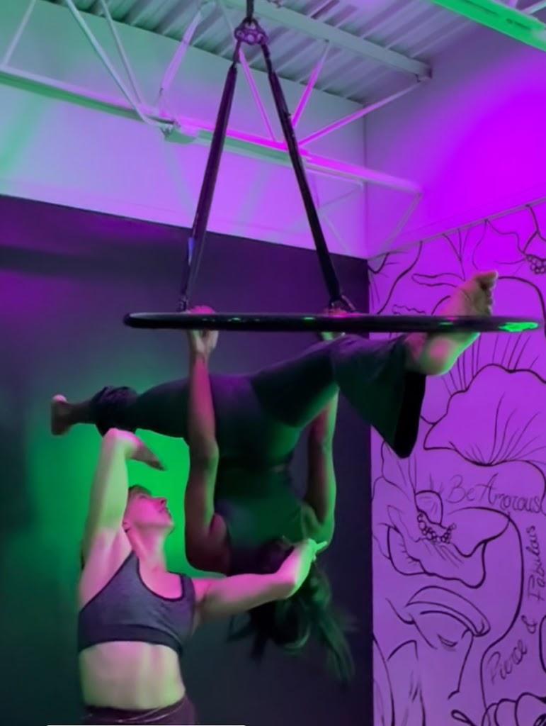  Amorous Dance Pole and Aerial Fitness