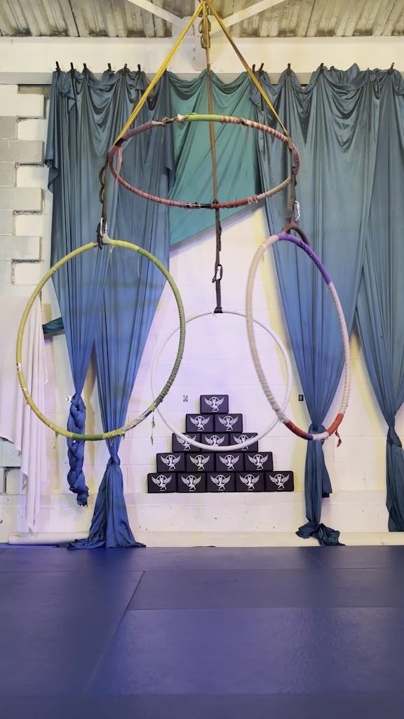  Tiger Mom Aerial Hoop Studio