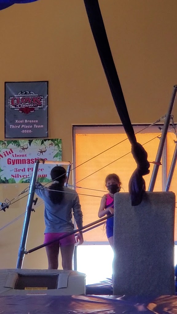  All About Dance & Gymnastics