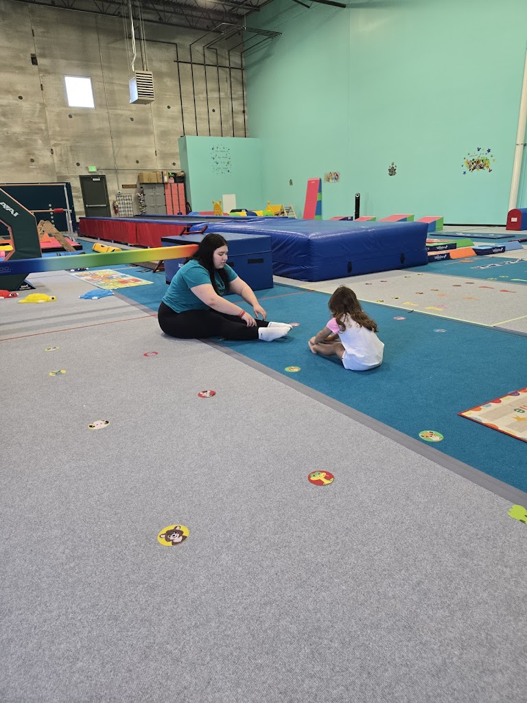  Dream Big Gymnastics