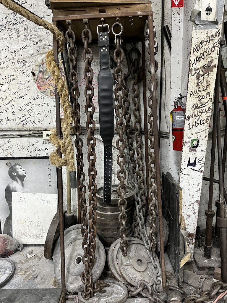  Metroflex Gym Arlington