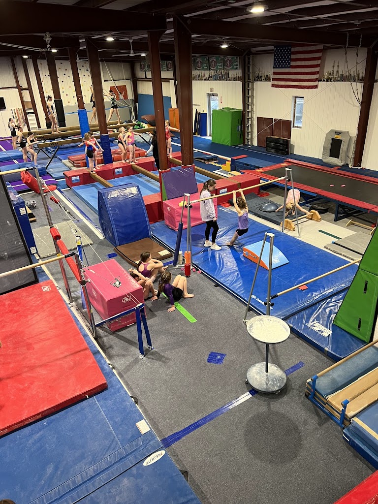  Decal Gymnastics- Augusta