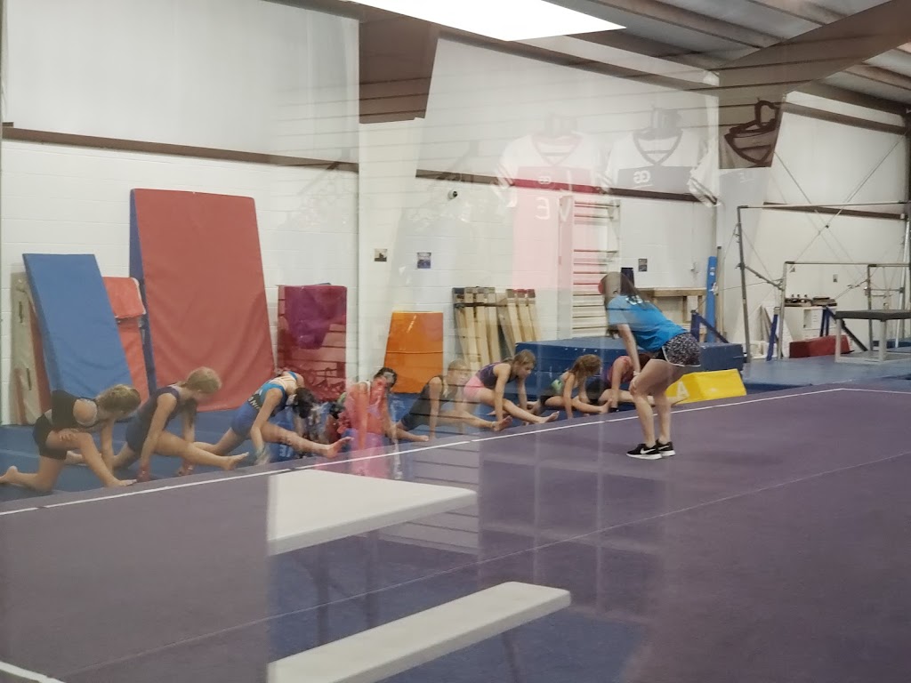  Gainesville Gymnastics