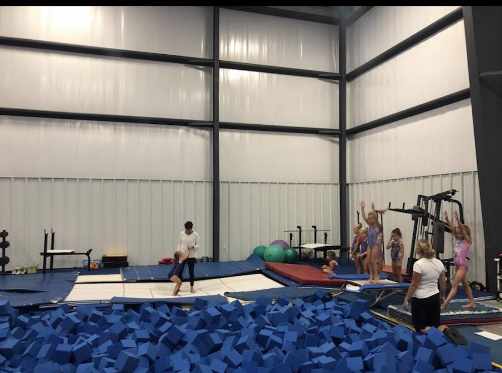  KIDS CO-OP Gymnastics - Tumble - Camps