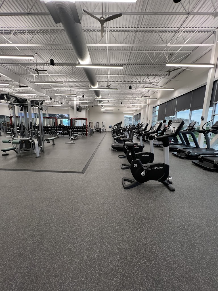  The Fitness Equation