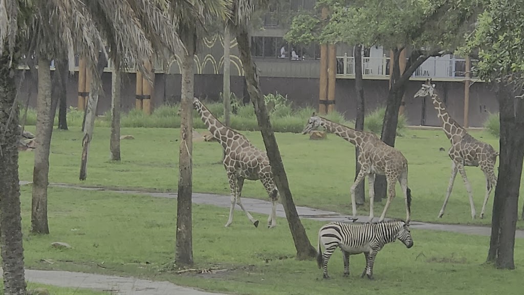  Survival of the Fittest Health Club