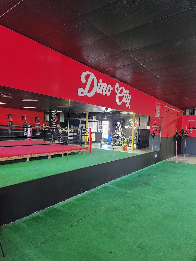  Dino City Boxing Academy