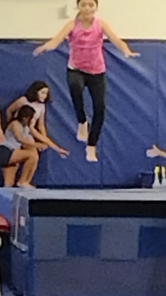  Next Level Gymnastics