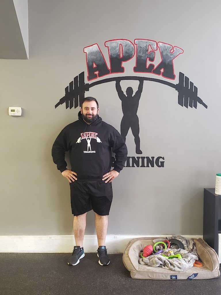  Apex Training