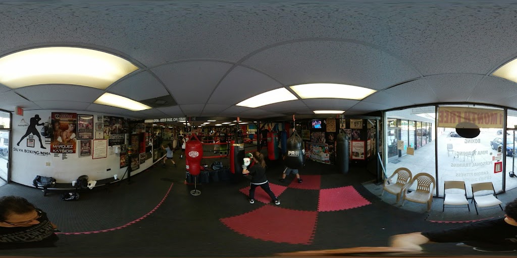  Silva Boxing-MMA