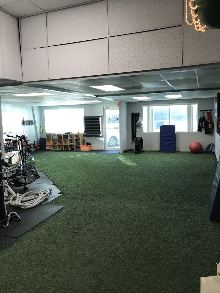  Strength and Movement